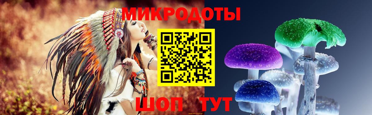 Галлюциногенные грибы Psilocybe  Вход с VPN  Луховицы  Псилоцибиновые грибы мицелий 